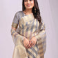 Shree Shyam Fashion Organza Grey Saree