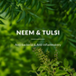 Lotus Botanicals Neem, Tulsi & Salicylic Acid Gentle Foaming Face Wash | Swadesiicart