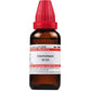 Dr. Willmar Schwabe India Canchalagua Dilution | Swadesiicart