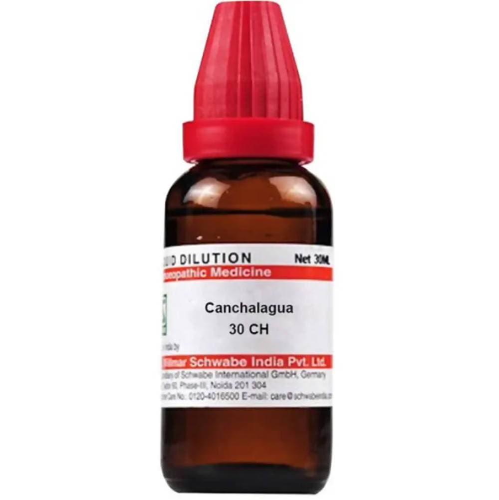 Dr. Willmar Schwabe India Canchalagua Dilution | Swadesiicart
