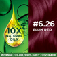 Garnier Color Naturals Ultra Hair Color - 6.26 Plum Red - Swadesiicart