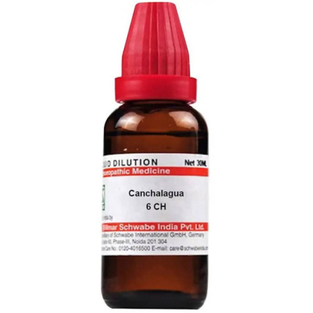 Dr. Willmar Schwabe India Canchalagua Dilution | Swadesiicart