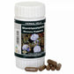 Herbal Hills Ayurveda Shankhpushpihills Capsules | Swadesiicart