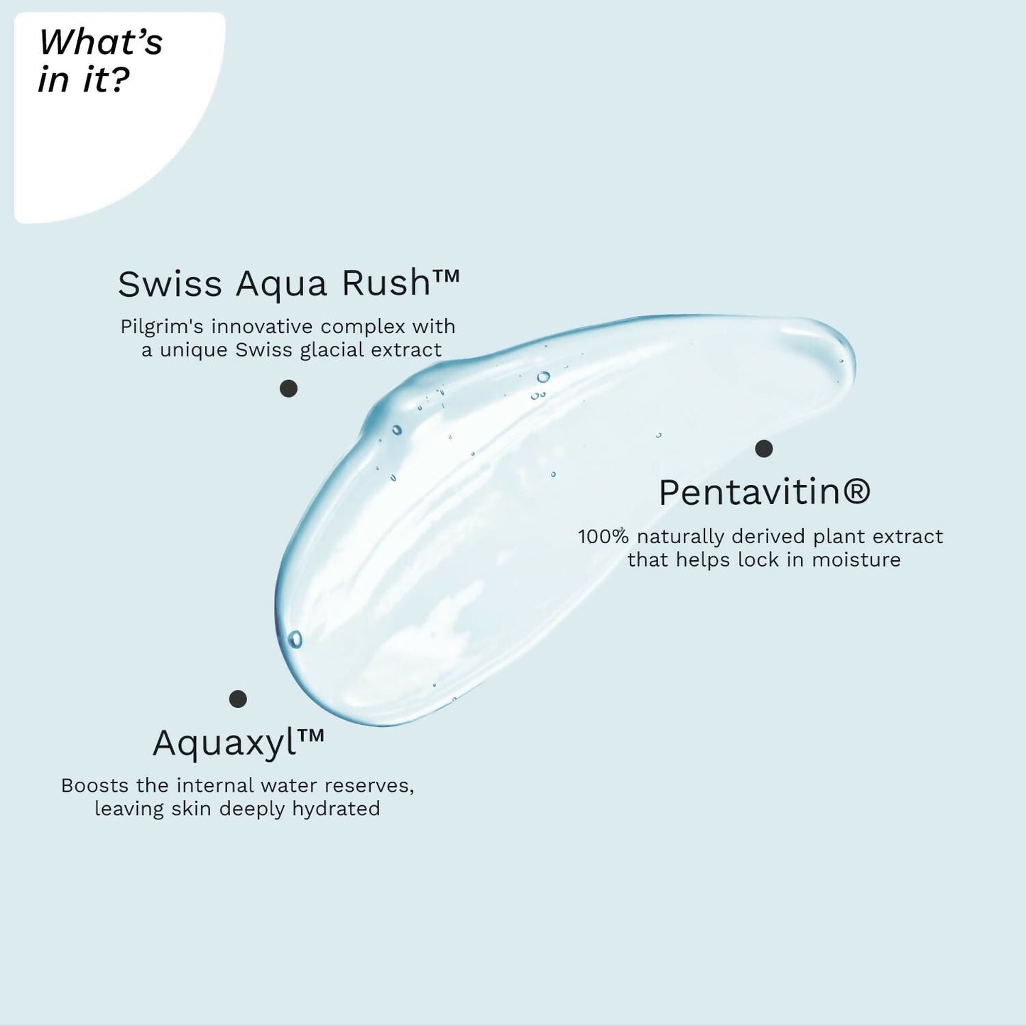 Pilgrim Swiss Aqua Rush Hydrating Face Wash, Refreshes Skin & Restores Hydration - Swadesiicart