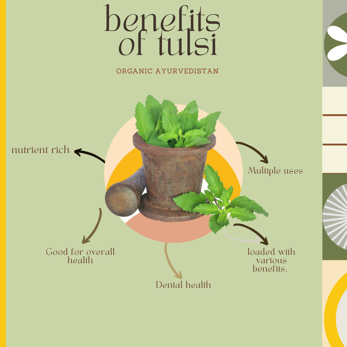 Organic Ayurvedistan Tulsi Powder - Swadesiicart
