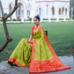 Vishnu Weaves Women's Lime Green Patola Banarasi Silk Meenakari Zari Woven Saree with Blouse - Swadesiicart