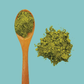 Tea Trunk Mint Matcha Green Tea | Swadesiicart
