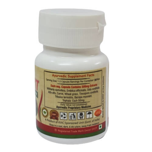 Deep Ayurveda Ayurvit 500mg Veg Capsules - Swadesiicart