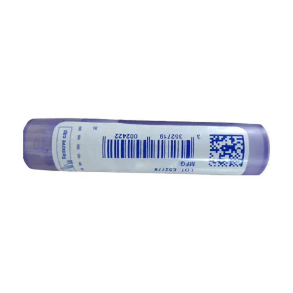 Boiron Homeopathy Bacillus Coli (Colibacillinum) Pellets | Swadesiicart