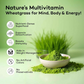 Ishva Wheatgrass Powder Pure & Natural Superfood Detoxifies, Supports Digestion & Promotes Vitality | Swadesiicart