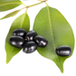 Nxtgen Ayurveda Jamun Seed Powder | Swadesiicart