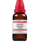 Dr. Willmar Schwabe India Ammonium Benzoicum Dilution | Swadesiicart