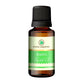 Korus Essential Basil Essential Oil - Therapeutic Grade - Just Jaivik