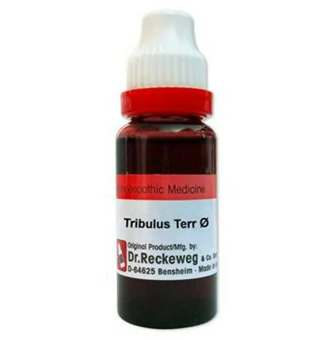 Dr. Reckeweg Gokshura Terr Mother Tincture Q | Swadesiicart