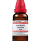 Dr. Willmar Schwabe India Andrographis Paniculata Dilution | Swadesiicart