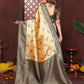 Anaita Banarasi Tissue Silk Saree