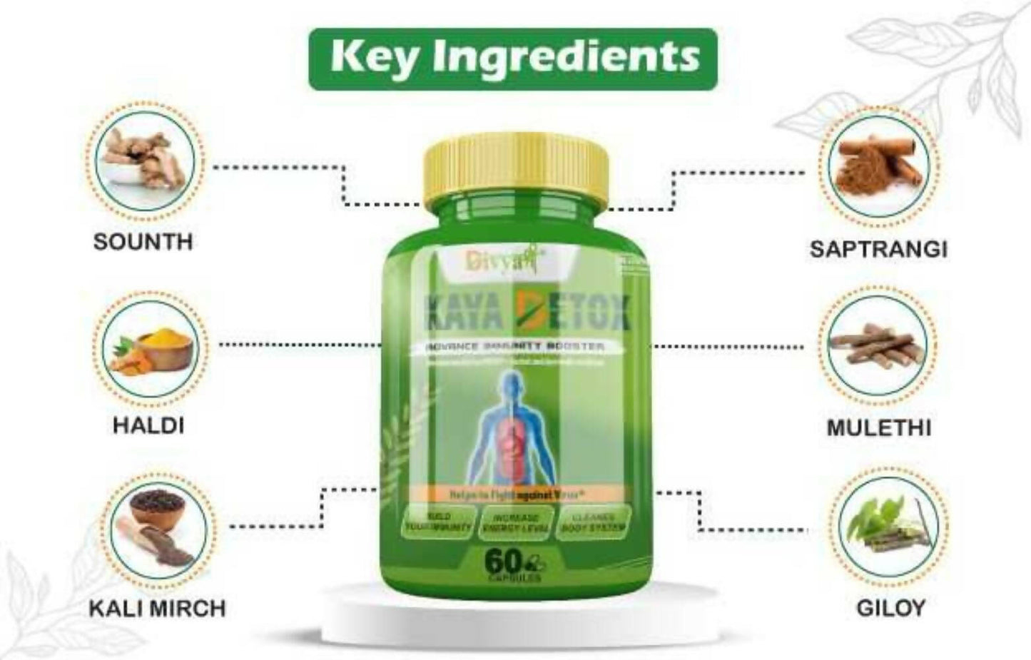 Divya Shree Kaya Detox Capsules | Swadesiicart