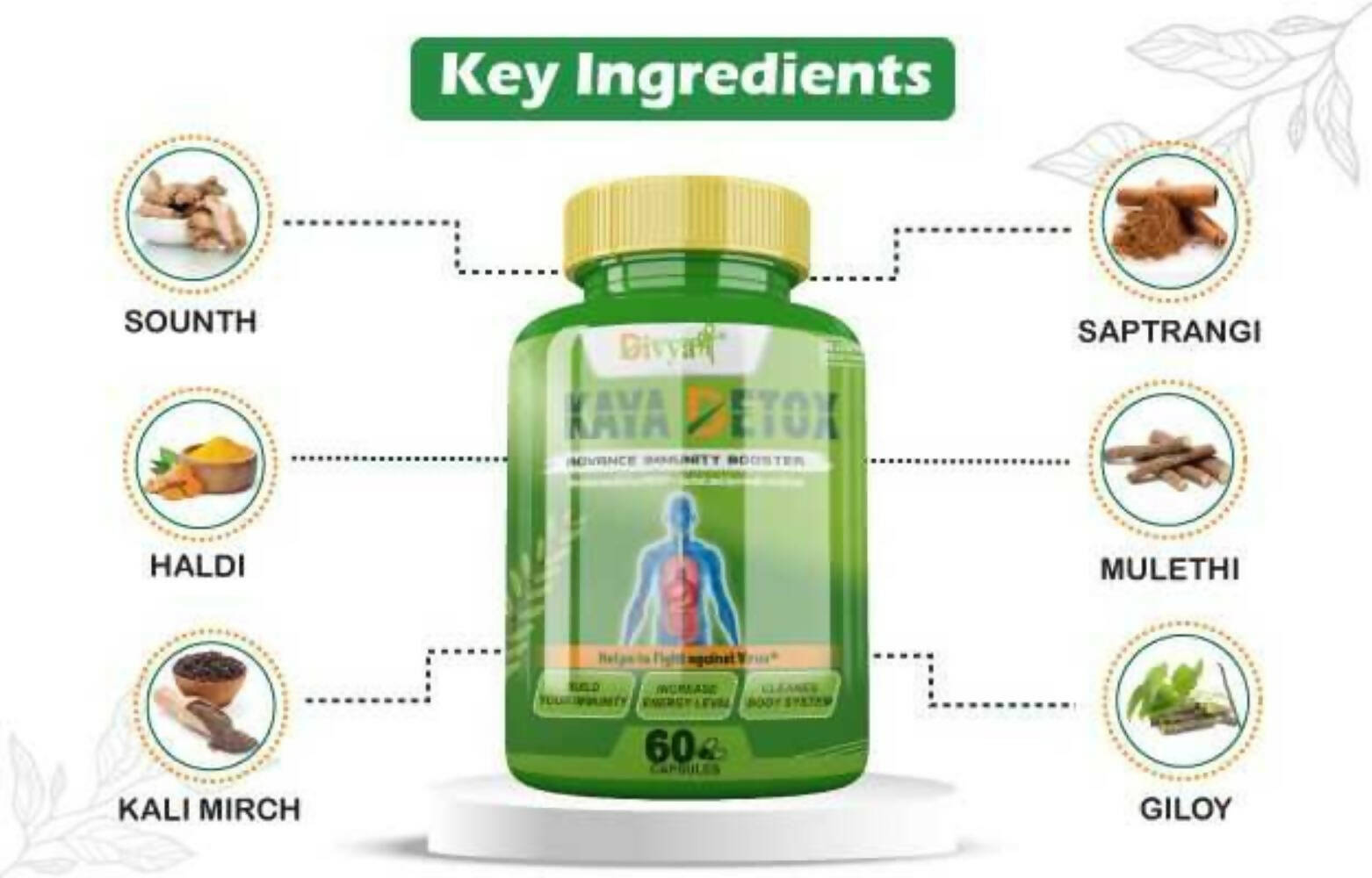 Divya Shree Kaya Detox Capsules | Swadesiicart