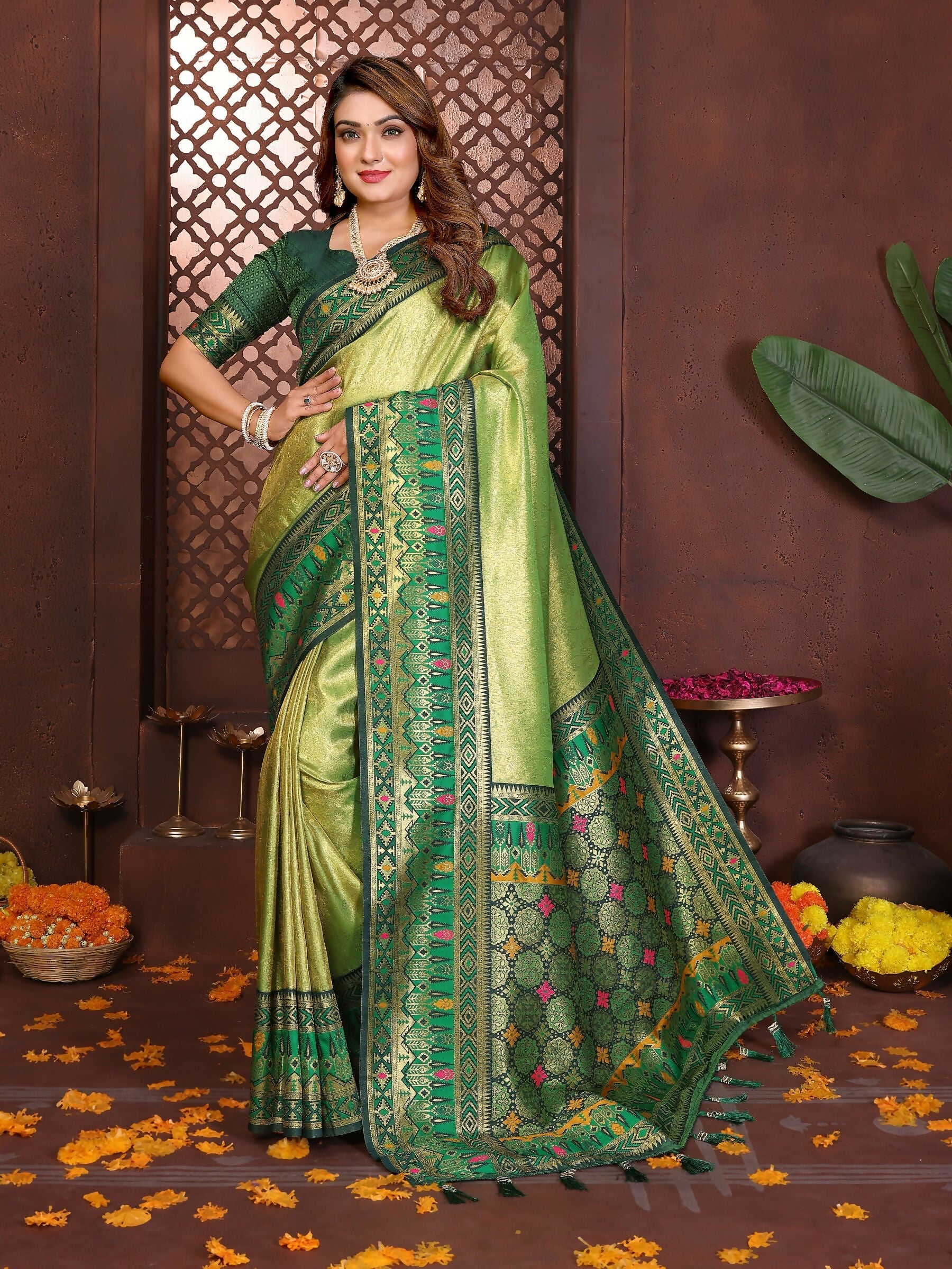 Anaita Banarasi Tissue Silk Saree