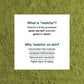 Tencha Essentials Matcha Detox Clay Face Mask | Swadesiicart
