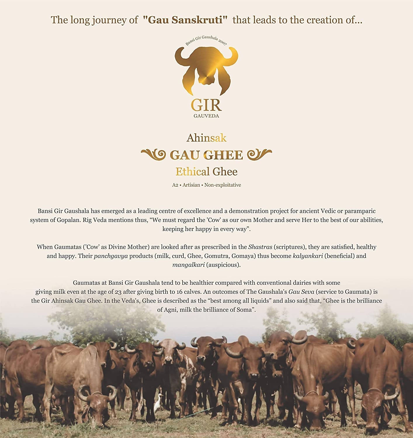 Gir Ahinsak Gau Ghee (A2) Bilona - A2 Ghee, Traditional Bilona Ghee, Desi Pure Breed Gir Gaumata (A2) - Swadesiicart