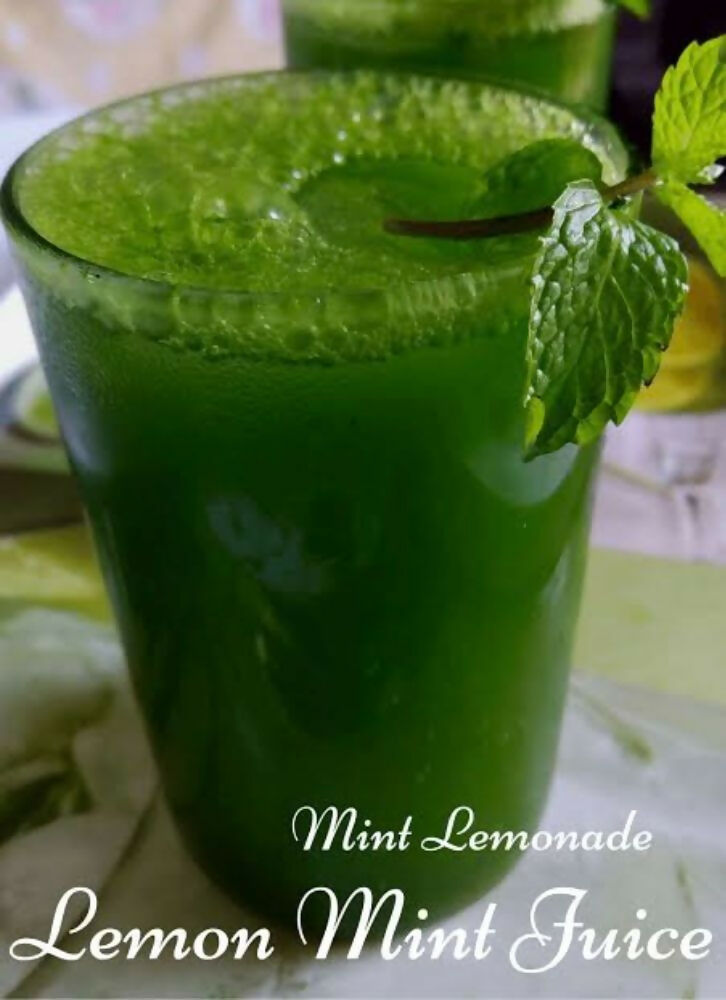 Shuddh Natural Mint Powder - Aromatic Flavor - Swadesiicart