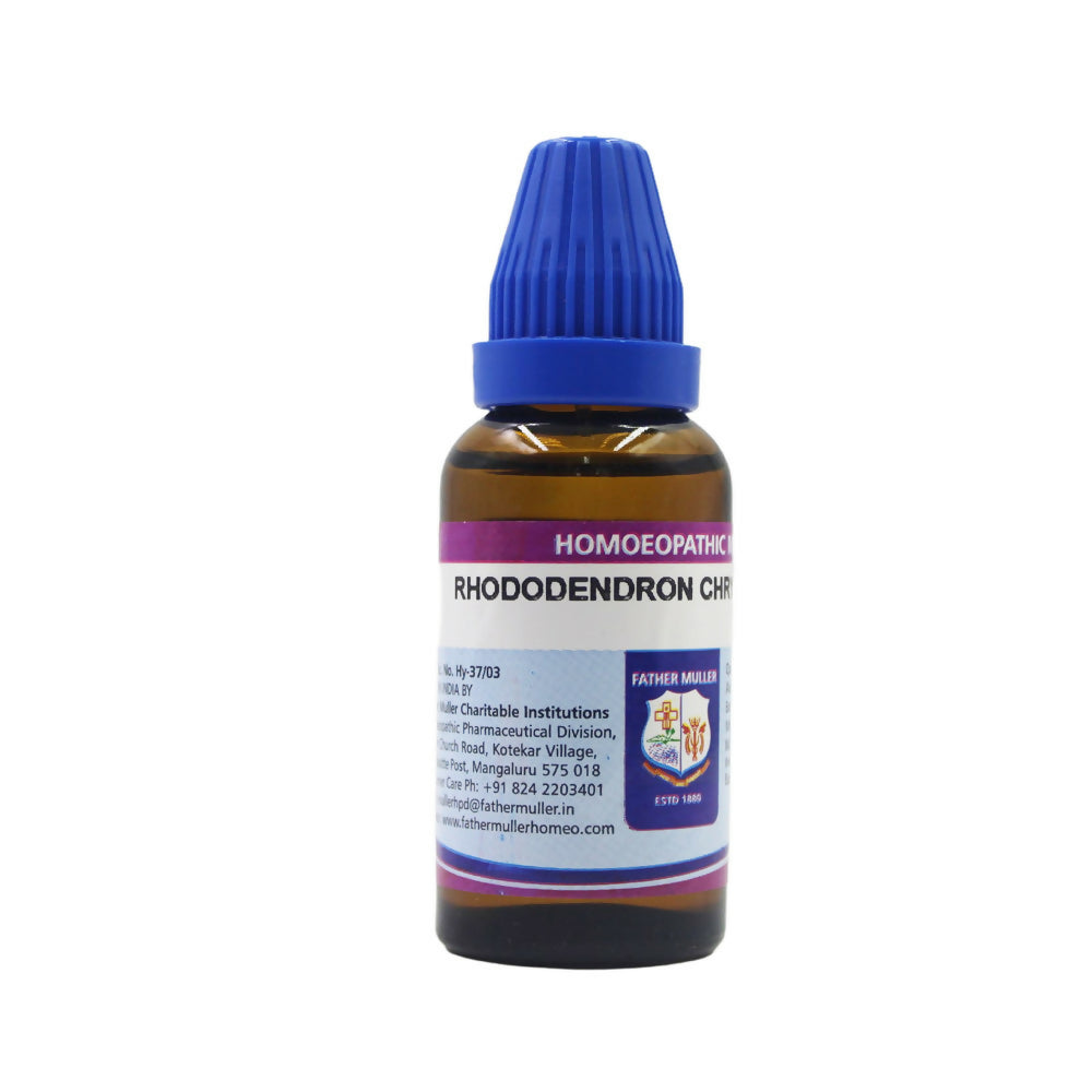 Father Muller Rhododendron Chrysanthum Dilution