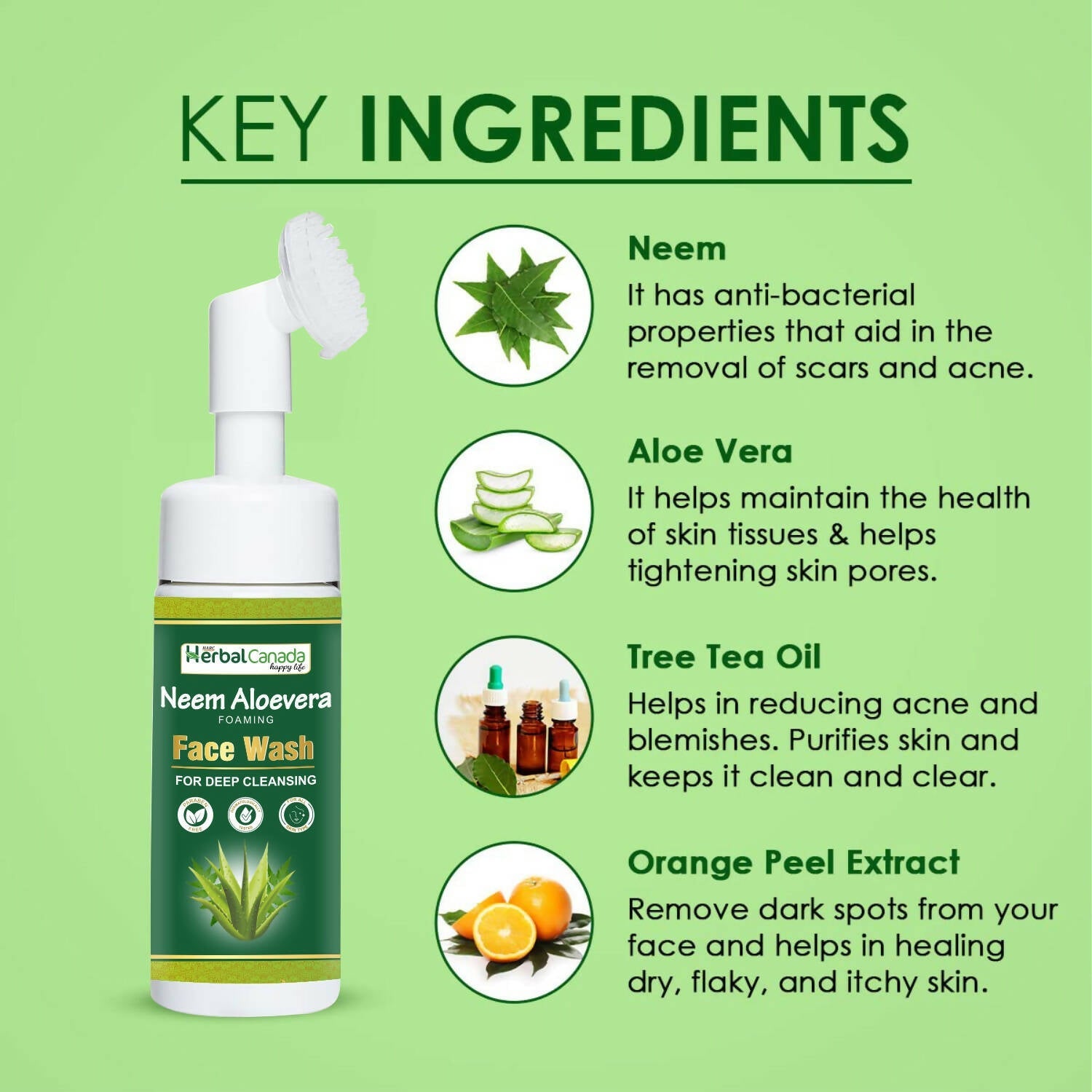 Herbal Canada Neem Aloe Vera Foaming Face Wash | Swadesiicart