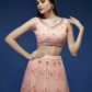 House of Panchhi Peach Net Sequinse Work Lehenga & Blouse, Dupatta | Swadesiicart