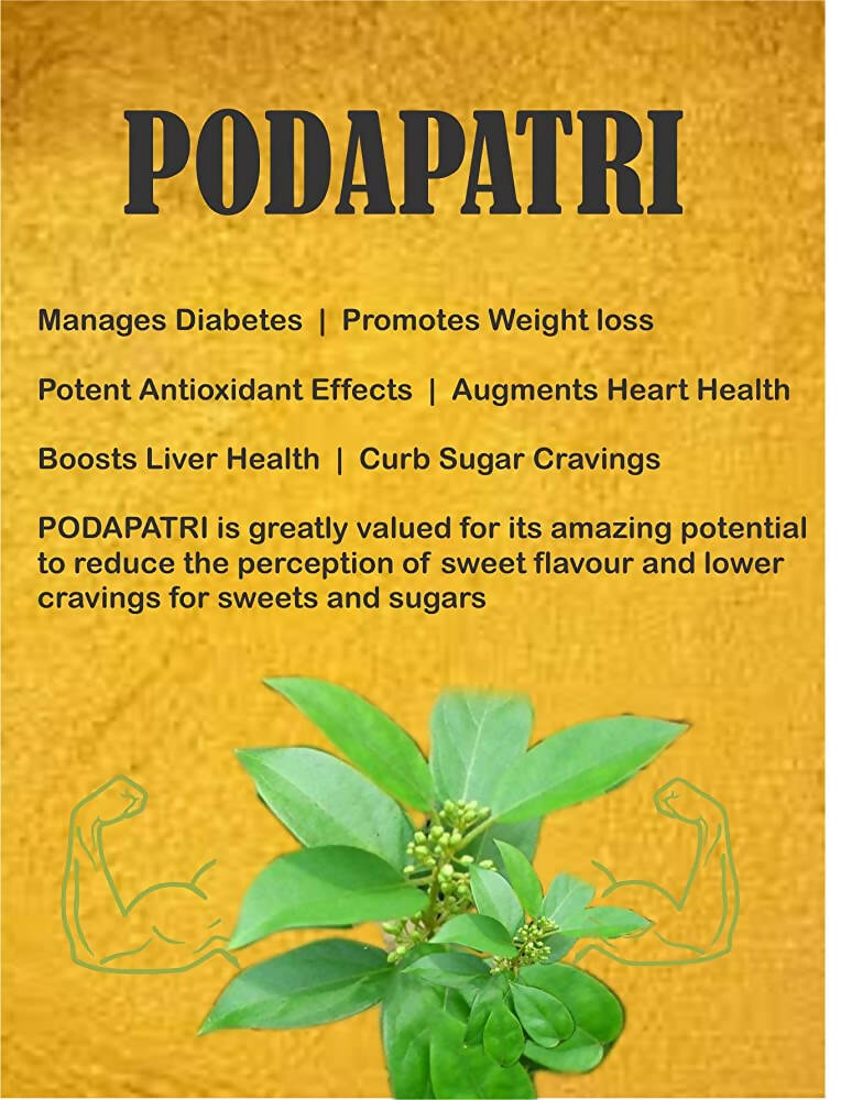 Spag Herbals Podapatri Powder - Swadesiicart