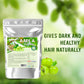 Syndy Pharma Amla Powder (Indian Gooseberry) | Swadesiicart