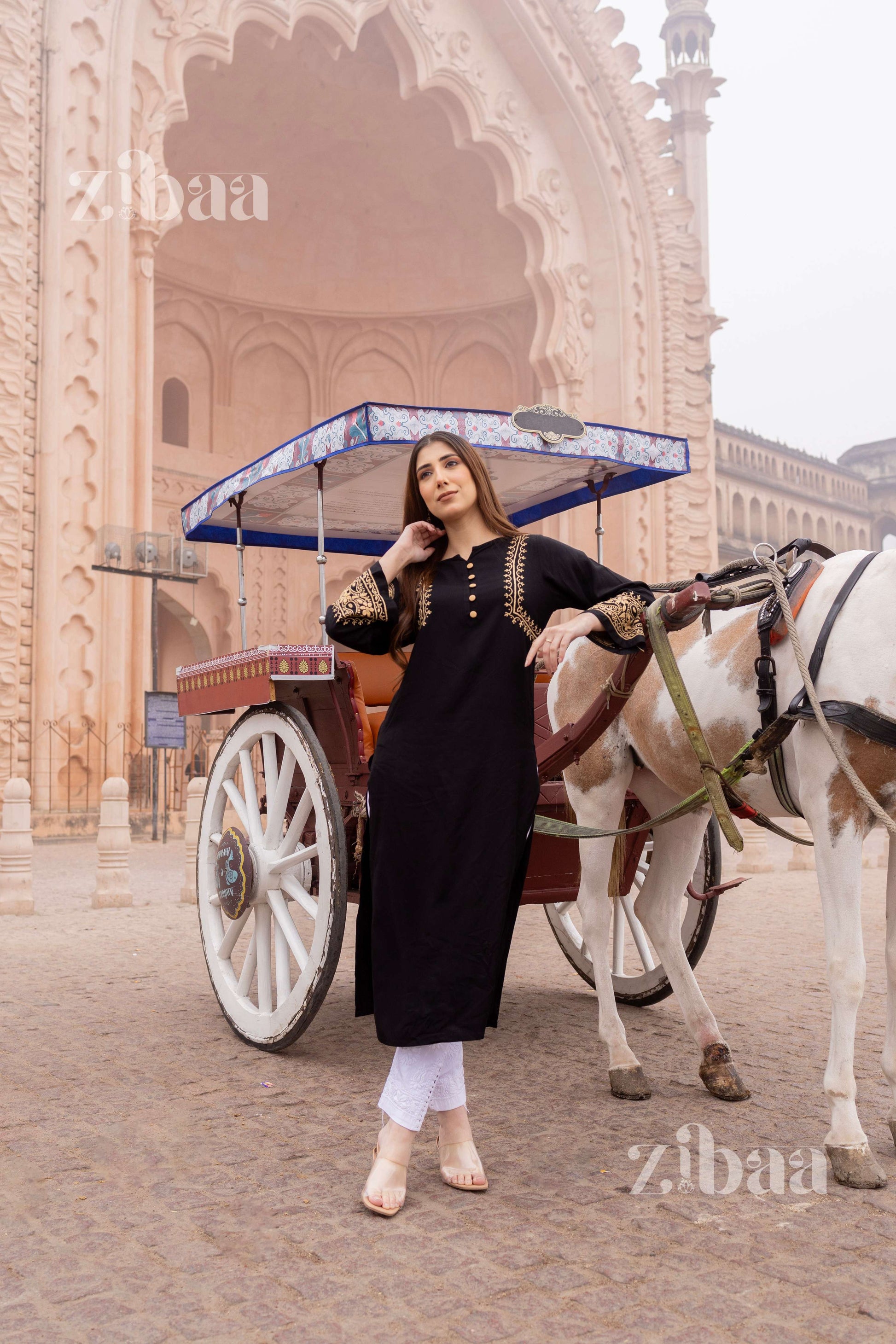Zibaa Luxury Rayon Black Chikankari Kurta with Hand Jaal - Swadesiicart