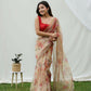 Vamsee Shanaya Brown Organza Saree - Swadesiicart