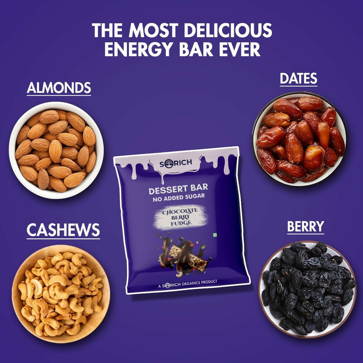 Sorich Organics Dessert Protein Mini Bars Chocolate Berry Fudge | Swadesiicart