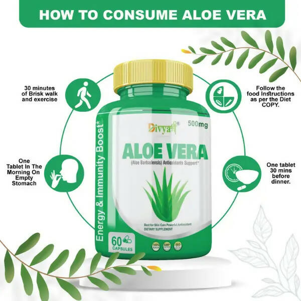Divya Shree Aloe Vera Capsules | Swadesiicart