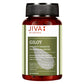Jiva Ayurveda Giloy Capsules - Jiva Ayurvedic