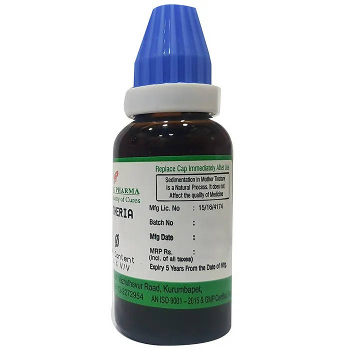 Hering Pharma Gaultheria Mother Tincture Q | Swadesiicart