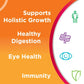 Centrum Kids Supports Overall Health Gummies - Swadesiicart
