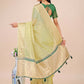 Shree Shyam Fashion Florance Light Green Organza Saree