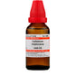 Dr. Willmar Schwabe India Carbonium Sulphuratum Dilution | Swadesiicart