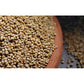 Millet Amma Organic Bajra Grains - Swadesiicart
