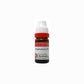 Dr. Reckeweg Euphorbium Dilution - Swadesiicart