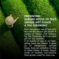 Sublime Inspiring Awe A Tea Ceremony