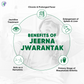 Pathak Ayurvedic Pharmacy Jeerna Jwarantak - Swadesiicart