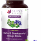 Bliss Welness Brain Health Brahmi + Shankapushpi Ginkgo Biloba Veg Tablet