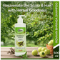 Multani Rovaan Bhringa Shampoo | Swadesiicart