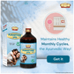 Jaived Ayurveda Punartone Asav | Swadesiicart