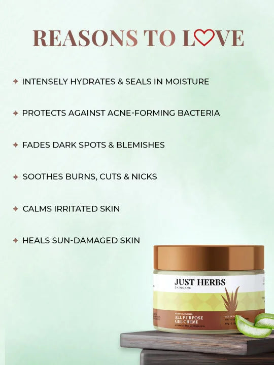 Anti-Acne Glow Boosting Gel Creme with Tulsi and Manjishtha / Fagel