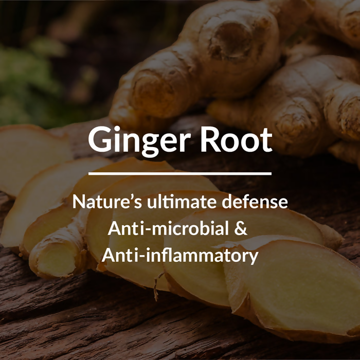 Lotus Botanicals Ginger Root & Black Seed Dandruff Control Hair Oil | Swadesiicart