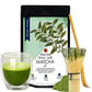 Wishcare Kimino Japanese Organic Premium Grade Matcha Green Tea Powder | Swadesiicart